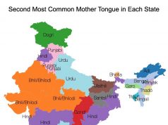 Second most common language in each state