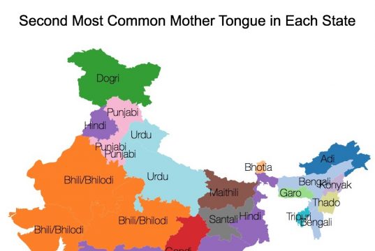 Second most common language in each state